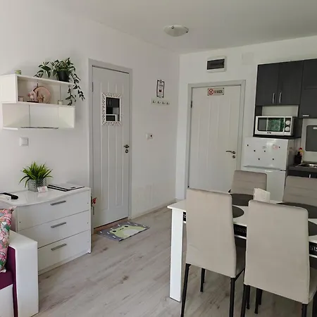 Viktoria Apartament Bałczik